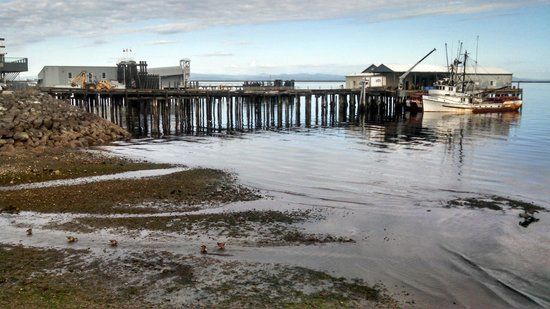 NOAA - Olympic Coast Discovery Center